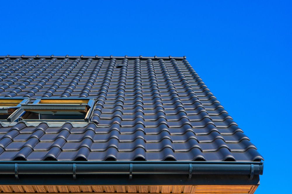 Professional roof cleaning for mold-free and clean shingles
